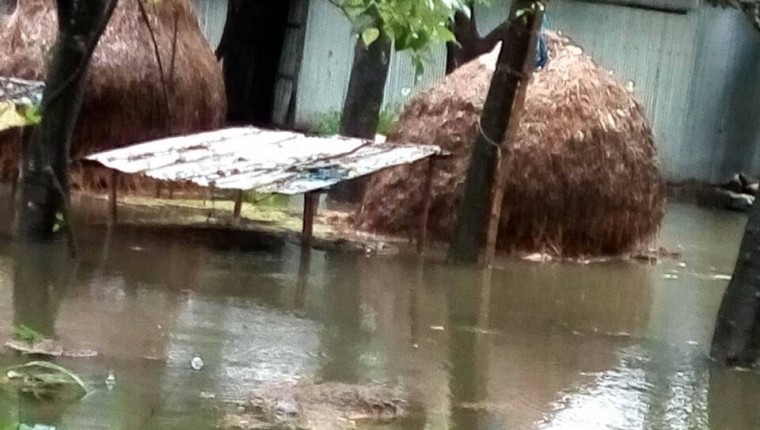 Help Samhati with Climate Resilience on Giving Tuesday!